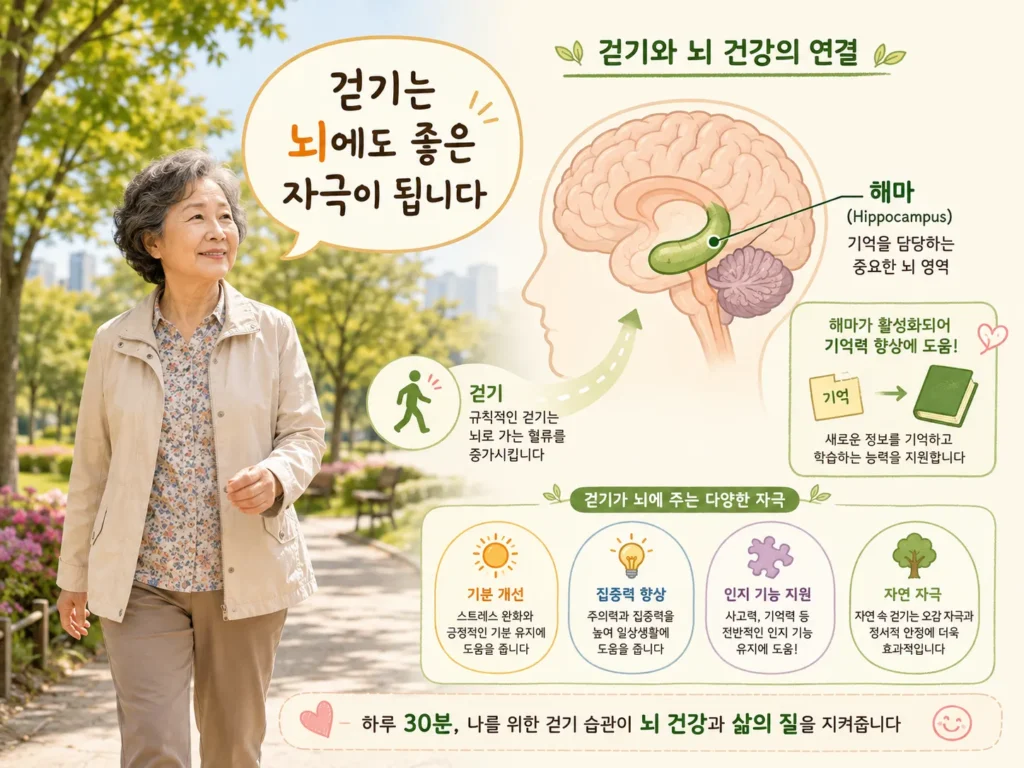 빠르게 걷기